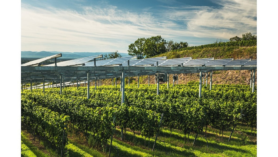 Almanya Yenilenebilir Enerjide 475 Megavatlık İnovasyon İhalesi Açtı