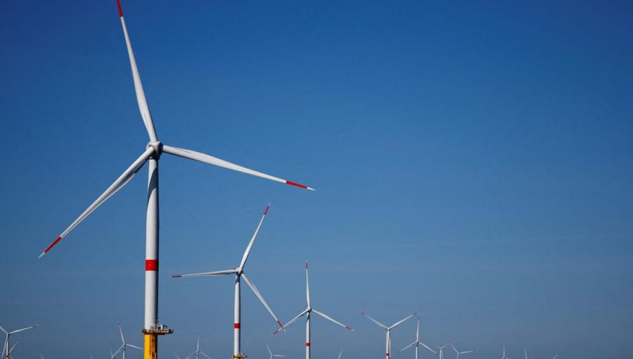 Deniz Üstü Rüzgar Santralleri Su Altı Yaşamını Canlandırıyor