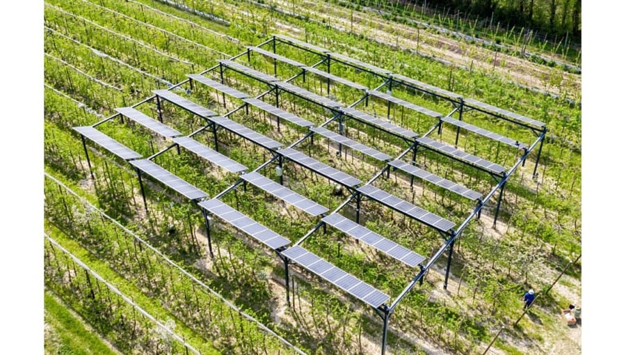 Washingtonda Tarım Arazileri Hem Gıda Hem Enerji Üretecek